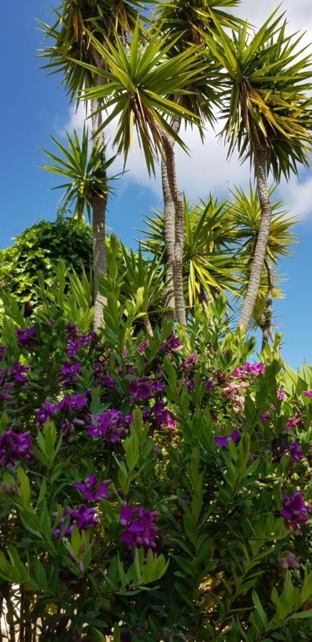 Villa Quinta Da Violeta Лоле Екстер'єр фото